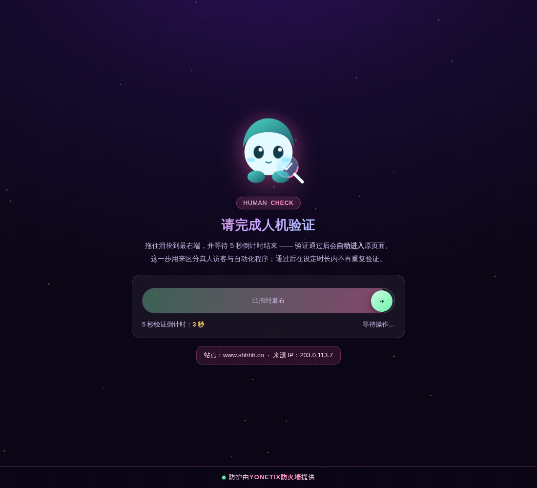 人机验证页